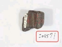 藏品(鹿角)的圖片